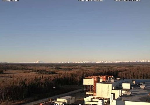 Белуга, Аляска