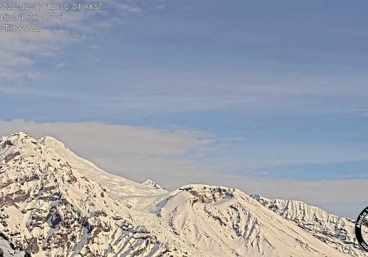 Spurr