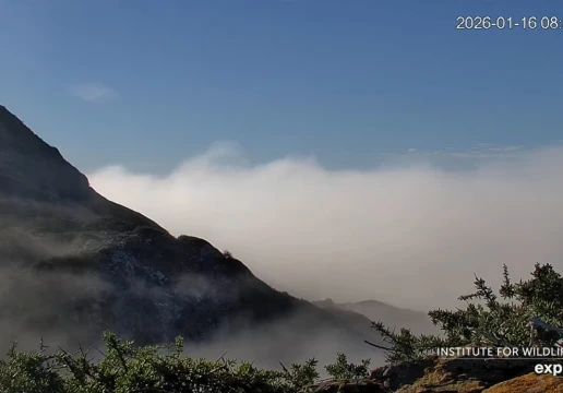 Santa Catalina Island, California