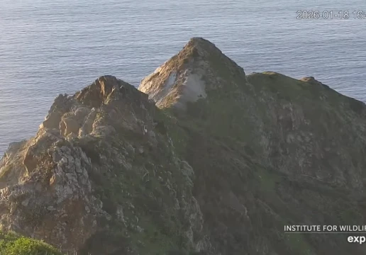 Santa Catalina Island, California