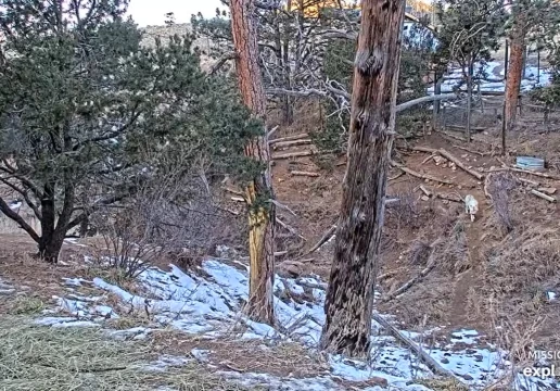 Весткліфф, Колорадо