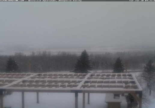 Нью Минас, Нова Шотландія