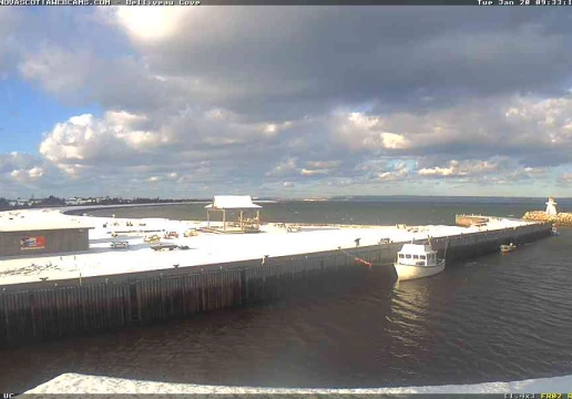 Белливеус Ков, Нова Шотландія