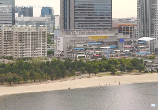 Tokyo city