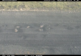 Road camera, road 68, road surface, Ennishals, Westfjords