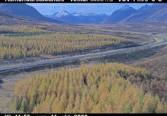 Road camera, road 82, looking west, Hamundarstadahals, North