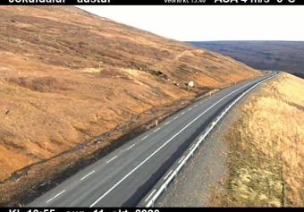 Road camera, road 1, looking east, Jokuldalur, East