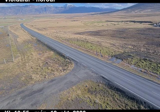 Road camera, road 1, looking north, Vididalur, North
