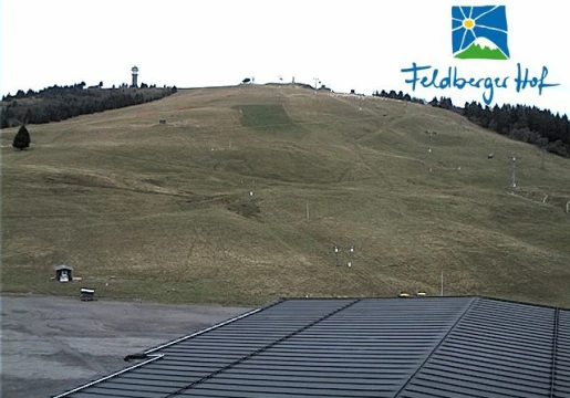 Feldberg