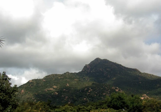 Arunachala