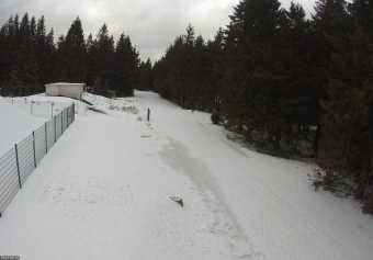 Oberhof