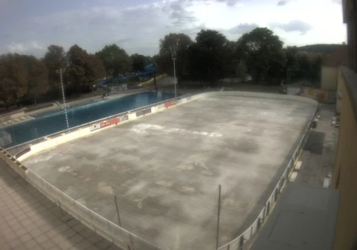 Медлінг