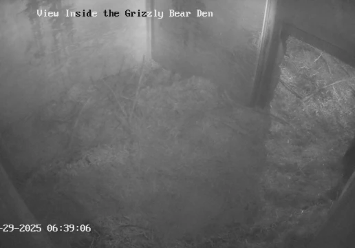 Граус Маунтін, Британська Колумбія