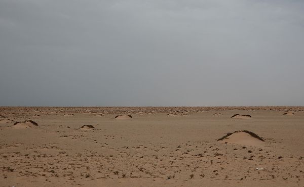 Сахарська Арабська Демократична Республіка, Дахла