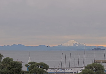 Дзусі, Канагава, Панорама